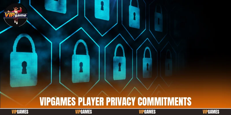 Vipgames player privacy commitments